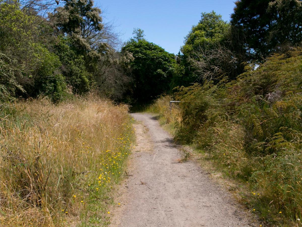 Bellbird Cottage - Lake Taupo Bach Waitahanui Экстерьер фото